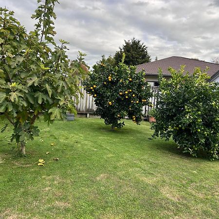 Matamata Villa Exteriör bild