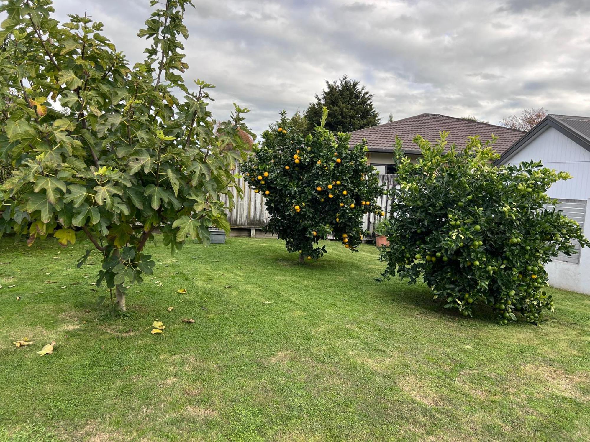 Matamata Villa Exteriör bild